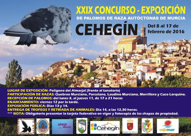 Llega a Cehegín  el XXIX Concurso- Exposición de Palomos de Razas Autóctonas de Murcia