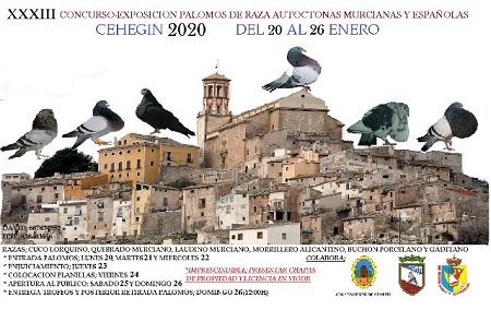 Este fin de semana se celebra el XXXIII Concurso-Exposición de palomos de Raza Autóctonas Murcianas y Españolas