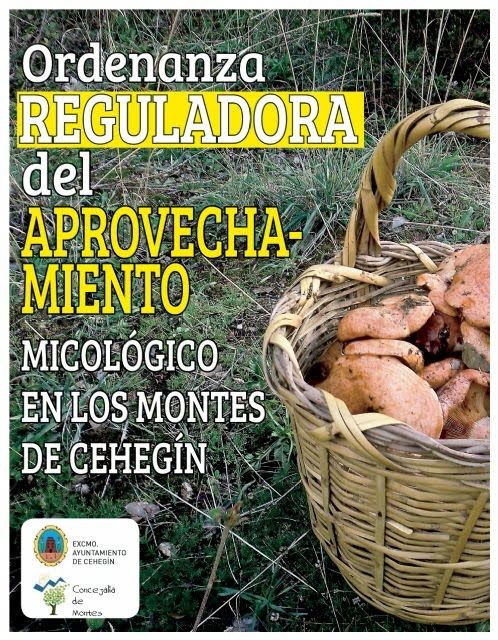 El Ayuntamiento informa sobre la Ordenanza reguladora del aprovechamiento micológico en los montes