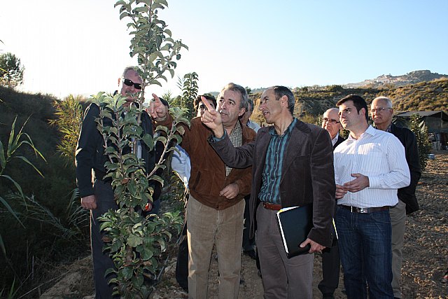 El consejero de Agricultura y Agua, Antonio Cerdá, acompañado del alcalde de Cehegín, José Soria, y de agricultores de la zona, visitó hoy las plantaciones de Pero de Alcuza, en el marco de un proyecto de recuperación de este fruto que la Consejería realiza junto con el Ayuntamiento.