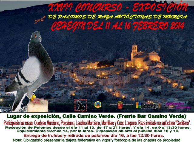 Cehegín acogerá el XXVII Concurso de Palomos de Razas Autóctonas de Murcia