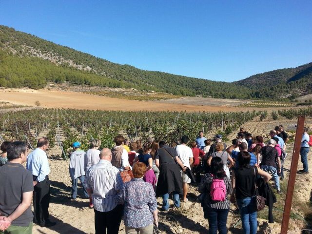 La visita guiada a Bodegas Monastrell y la Escuela del Vino reúne a unas 50 personas