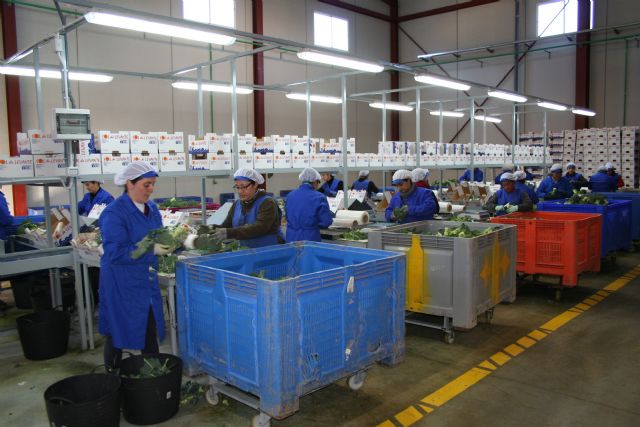 Una nueva empresa en el Polígono Industrial del Agua Salada da trabajo a más de 30 personas