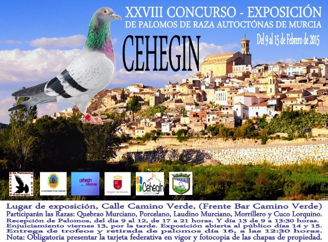 Unos 300 ejemplares participarán en el XXVIII Concurso de Palomos de Razas Autóctonas de Murcia