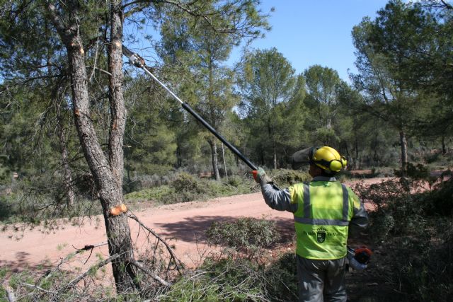 Medio Ambiente realiza limpieza y labores de prevención de incendios forestales en el Coto de las Maravillas