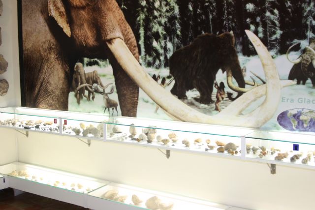 El Museo Arqueológico de Cehegín recibió 25.089 visitas en el pasado 2015