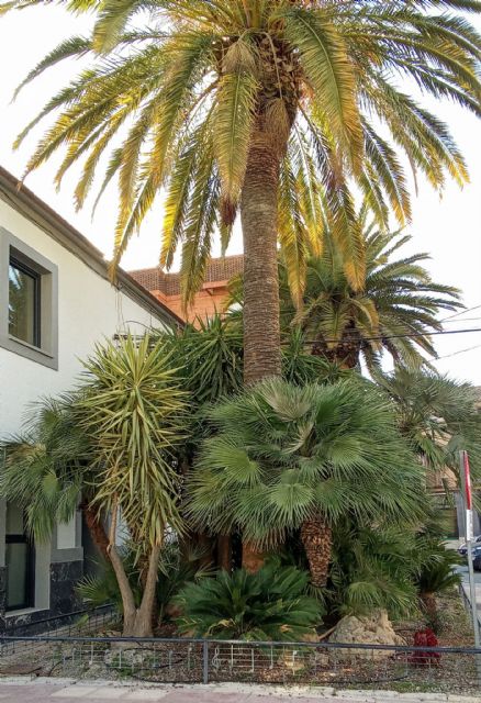 Cehegín impulsará el nombramiento del ´Jardín Coro Ciudad de Cehegín´