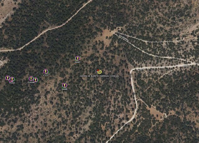 Incendio forestal en la sierra del Burete en Cehegín