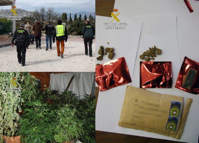 La Guardia Civil desarticula una organización criminal dedicada al cultivo y envío de sustancias estupefacientes a Reino Unido