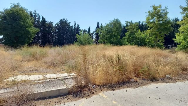 El PSOE de Cehegín pide la limpieza de los solares municipales