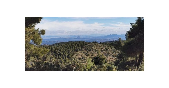 Cehegín conmemorará el Día Internacional de los Bosques con actividades que pretenden concienciar y poner en valor nuestro Patrimonio Natural