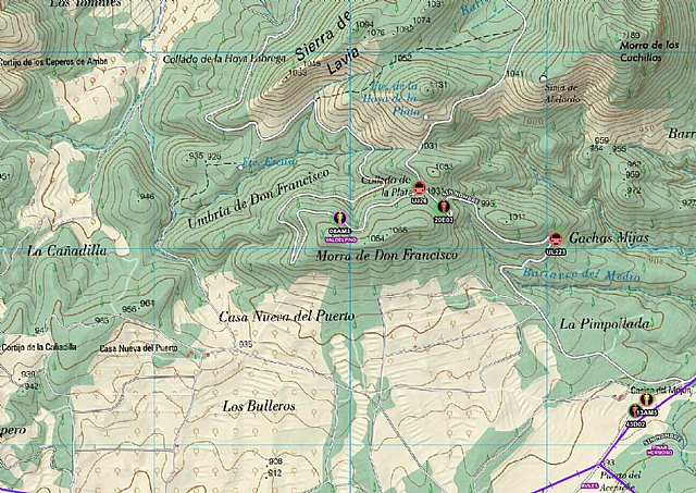 Fallece un trabajador al caerle un árbol mientras faenaba en un monte de Cehegín