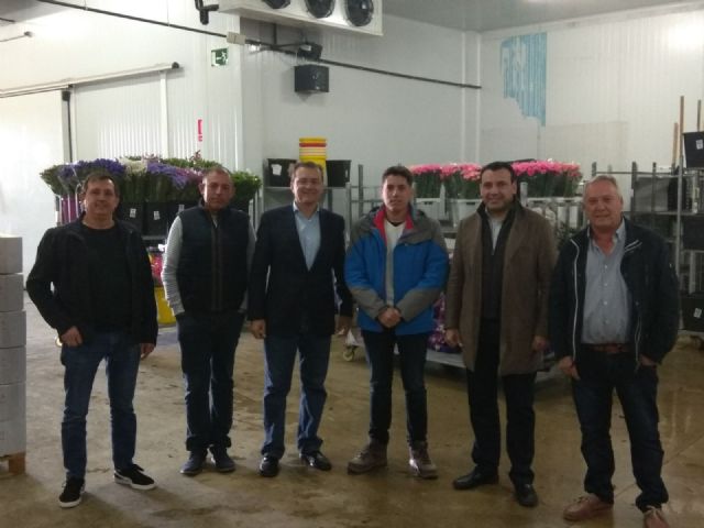 Ciudadanos exige al Gobierno regional una línea de ayudas específica para el sector de la flor cortada