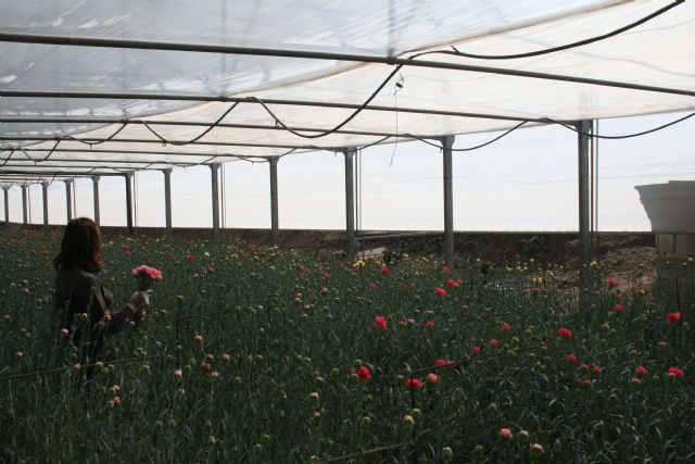 La asociación de mujeres rurales 'Agua y Tierra' inicia su andadura en Cehegín