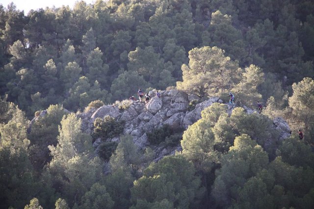 Ciudadanos elabora un reglamento para regular el uso de los montes públicos en Cehegín