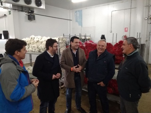 Ciudadanos consigue para Cehegín inversiones para el sector de la flor cortada y mejoras en el colegio Conde de Campillos