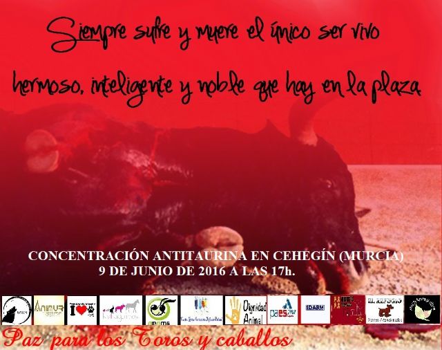 Colectivos y asociaciones animalistas convocan una concentración contra la corrida de toros organizada para festejar el Día de la Región de Murcia en Cehegín