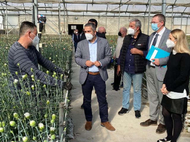 El Partido Popular reafirma su apoyo y compromiso con el sector de la flor cortada de Cehegín