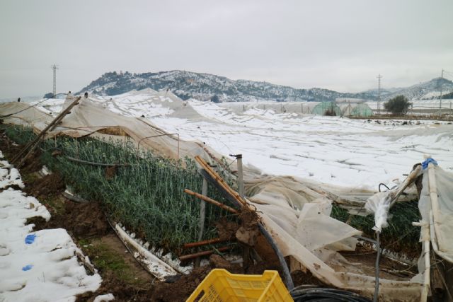 El Ayuntamiento  de Cehegín abre el plazo de solicitud de ayudas para reconstruir invernaderos