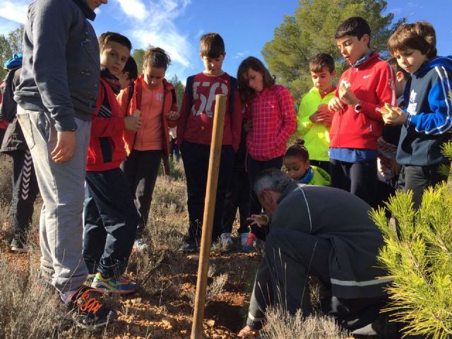 El grupo Gepnace del CEIP Ciudad de Begastri realiza una jornada de reforestación en los montes de Cehegín.